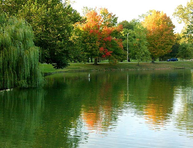 Lakeside in the Fall - A Beauty Spot